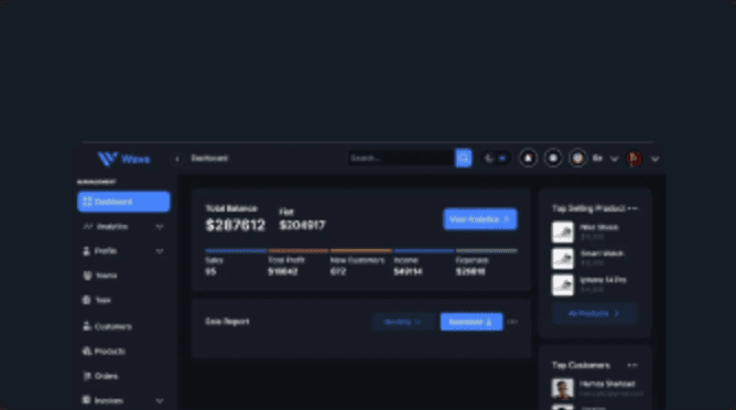 Wave dashboard interface with balance, sales report and top selling product panels